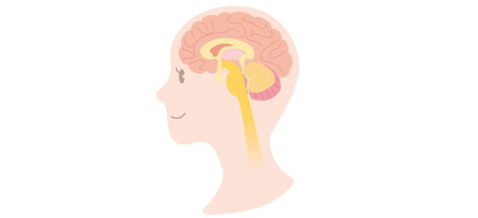 脳の仕組みを理解して、香りがなぜ人生を変えるほどの力を持つかを知る